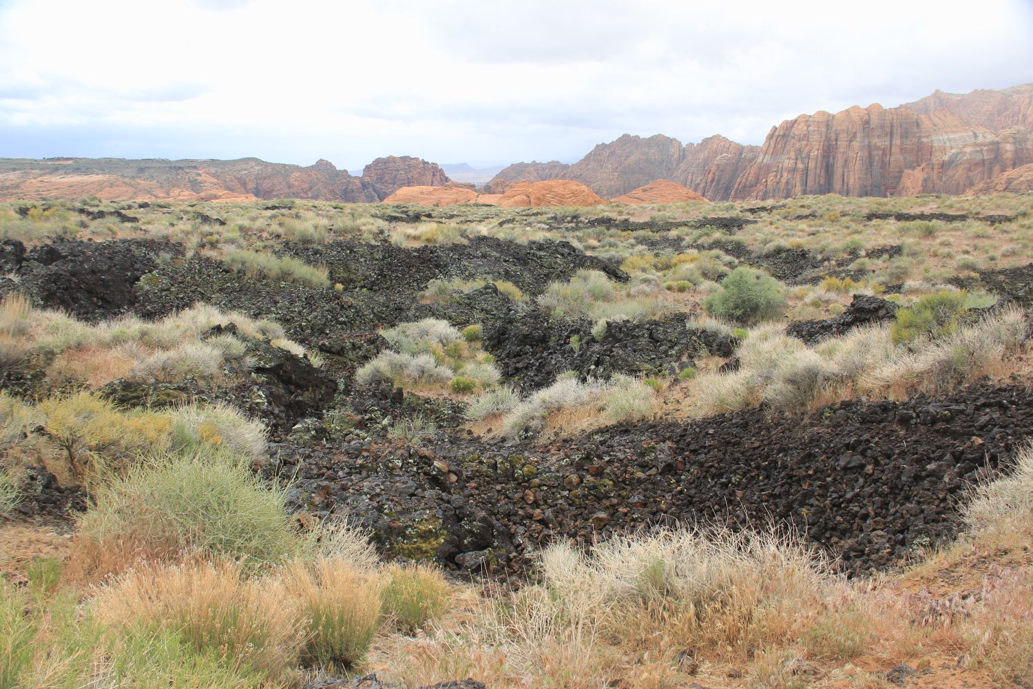 Snow Canyon State Park 